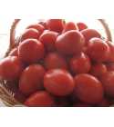 Seminte tomate Chelse SEMINIS 1.000 seminte