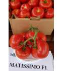 Seminte tomate Matissimo SEMINIS 100 seminte